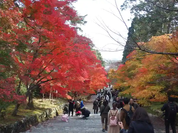 二尊院(京都府)