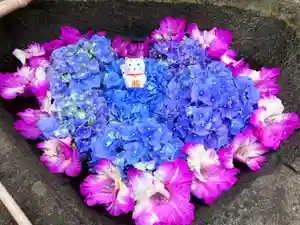 真言宗 善通寺派 薬王寺(香川県)(2023年06月11日(日) 11時44分44秒投稿)