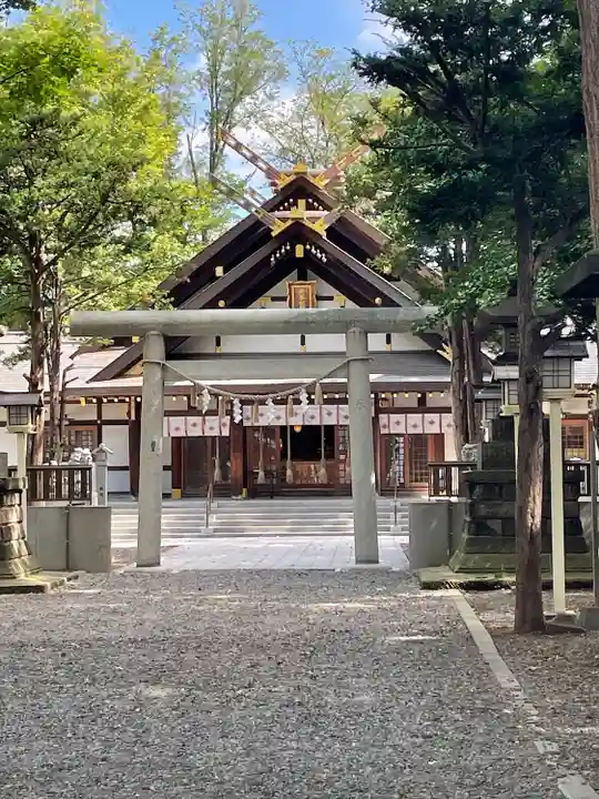 新琴似神社の鳥居