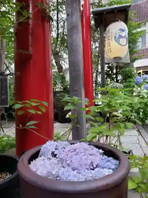 五十稲荷神社(栄寿稲荷神社)(東京都)