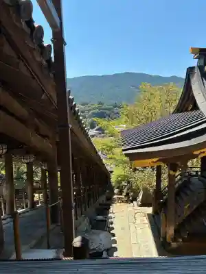 長谷寺(奈良県)
