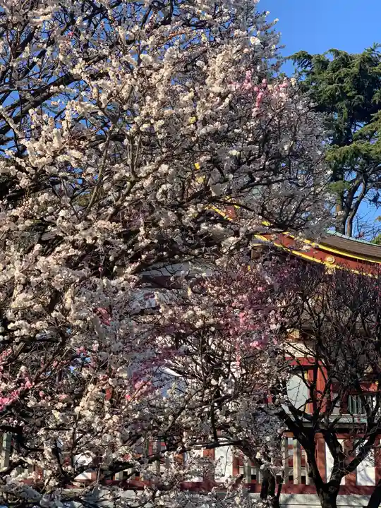 薭田神社の自然