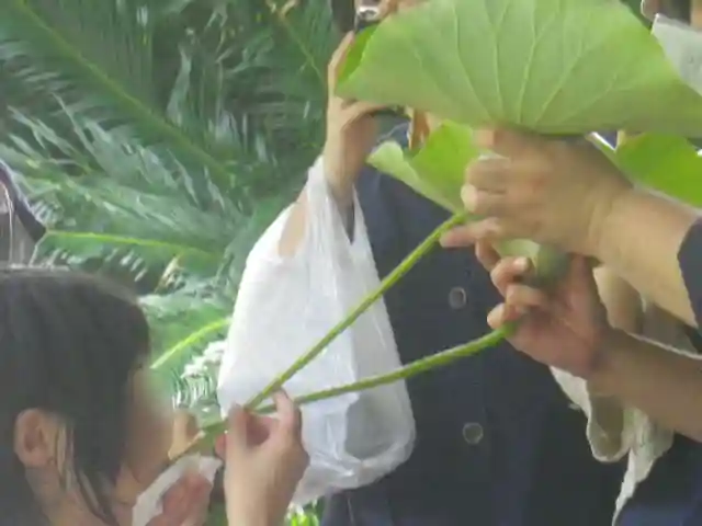 光明寺のお祭り