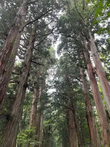 戸隠神社奥社の{uncategorized: "未分類", other: "その他", undefined: "問題あり", building: "その他建物", grave: "お墓", sacred_gate: "鳥居", guardian: "狛犬", statue: "像", buddha: "仏像", history: "歴史", nature: "自然", garden: "庭園", animal: "動物", pagoda: "塔", temizu: "手水舎", mountain_gate: "山門・神門", sanctuary: "本殿・本堂", subordinate: "末社・摂社", art: "芸術", scenery: "景色", jizo: "地蔵", ema: "絵馬", goshuin: "御朱印", omikuji: "おみくじ", items: "授与品その他", amulet: "お守り", goshuincho: "御朱印帳", eats: "食事", festival: "お祭り", votive_dance: "神楽", shichigosan: "七五三参", wedding: "結婚式", experience: "体験その他", initially: "初詣", around: "周辺", anti_infection: "感染症対策"}