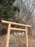 熊野神社の{uncategorized: "未分類", other: "その他", undefined: "問題あり", building: "その他建物", grave: "お墓", sacred_gate: "鳥居", guardian: "狛犬", statue: "像", buddha: "仏像", history: "歴史", nature: "自然", garden: "庭園", animal: "動物", pagoda: "塔", temizu: "手水舎", mountain_gate: "山門・神門", sanctuary: "本殿・本堂", subordinate: "末社・摂社", art: "芸術", scenery: "景色", jizo: "地蔵", ema: "絵馬", goshuin: "御朱印", omikuji: "おみくじ", items: "授与品その他", amulet: "お守り", goshuincho: "御朱印帳", eats: "食事", festival: "お祭り", votive_dance: "神楽", shichigosan: "七五三参", wedding: "結婚式", experience: "体験その他", initially: "初詣", around: "周辺", anti_infection: "感染症対策"}