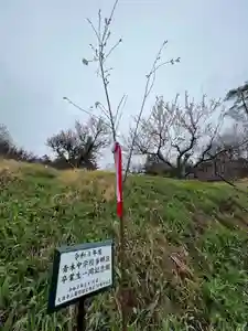 国宝 大法寺(長野県)(2023年03月26日(日) 16時23分07秒投稿)