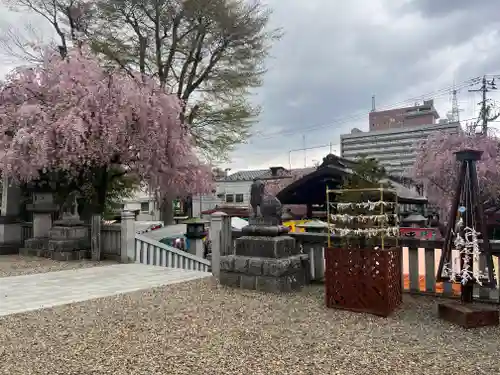 櫻山神社の建物その他