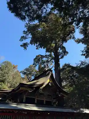鹿島神宮(茨城県)