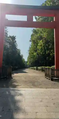 井草八幡宮(東京都)