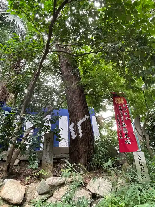 安居神社の自然