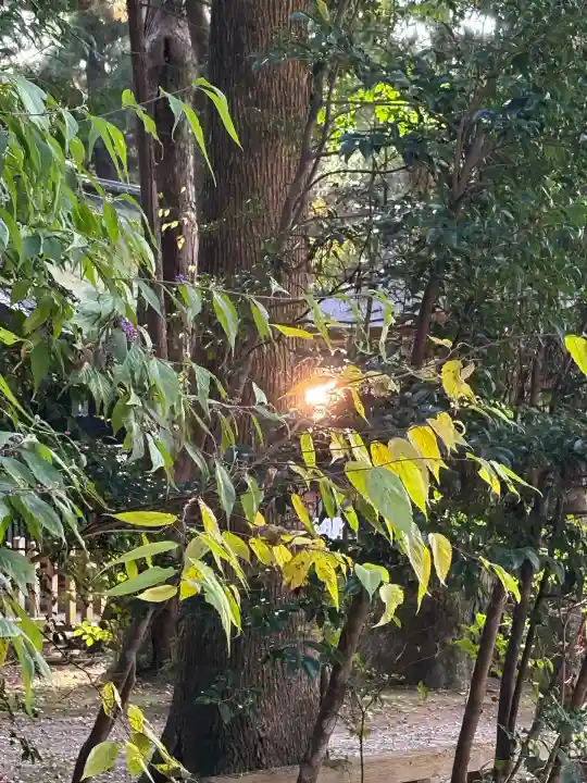 鹿島神宮(茨城県)