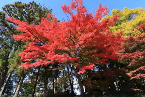 東館稲荷神社の庭園