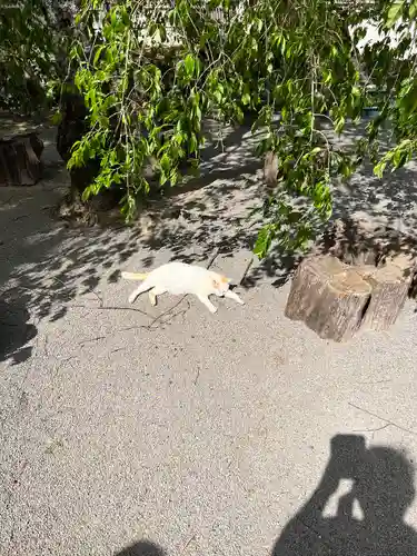 伊豆山神社(静岡県)