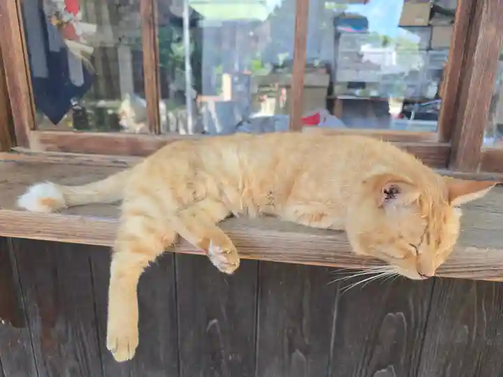 大江神社の動物