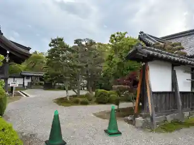 滋賀院門跡の{uncategorized: "未分類", other: "その他", undefined: "問題あり", building: "その他建物", grave: "お墓", sacred_gate: "鳥居", guardian: "狛犬", statue: "像", buddha: "仏像", history: "歴史", nature: "自然", garden: "庭園", animal: "動物", pagoda: "塔", temizu: "手水舎", mountain_gate: "山門・神門", sanctuary: "本殿・本堂", subordinate: "末社・摂社", art: "芸術", scenery: "景色", jizo: "地蔵", ema: "絵馬", goshuin: "御朱印", omikuji: "おみくじ", items: "授与品その他", amulet: "お守り", goshuincho: "御朱印帳", eats: "食事", festival: "お祭り", votive_dance: "神楽", shichigosan: "七五三参", wedding: "結婚式", experience: "体験その他", initially: "初詣", around: "周辺", anti_infection: "感染症対策"}