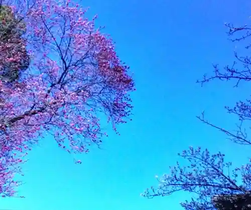 田端神社(東京都)