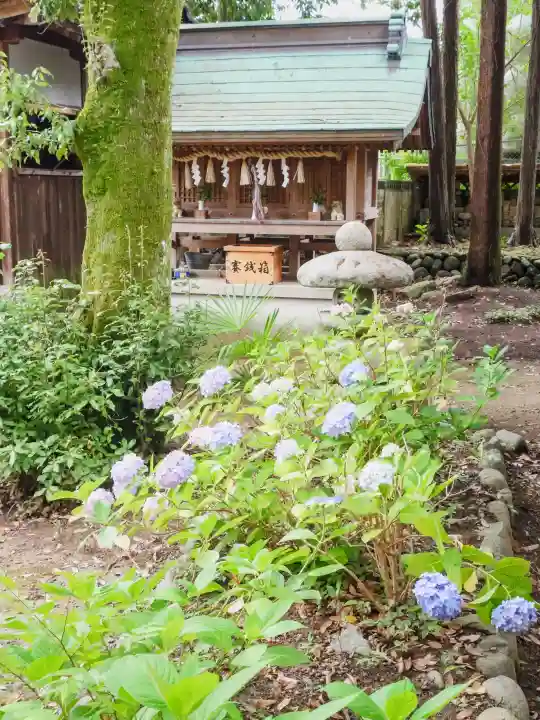 新宮八幡神社(兵庫県)