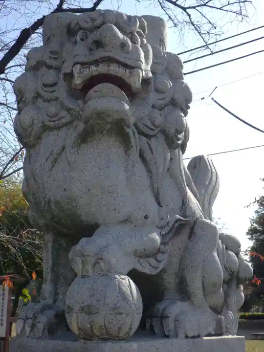 白山神社(二子町)の狛犬