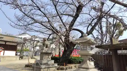 筒井八幡神社(兵庫県)
