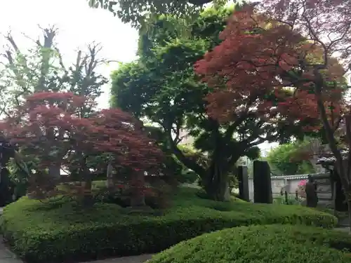 金剛寺の庭園