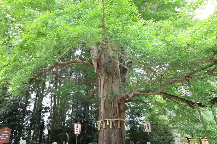 水戸八幡宮(茨城県)