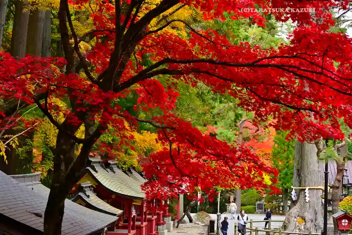 北口本宮冨士浅間神社(山梨県)