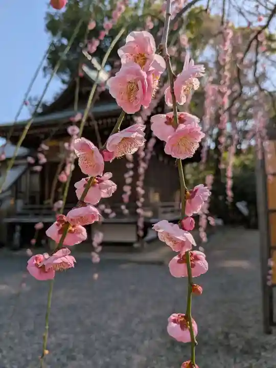 布多天神社(東京都)