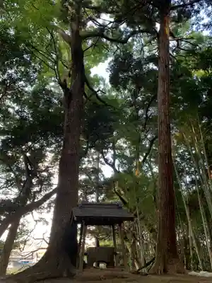 諏訪大神(千葉県)