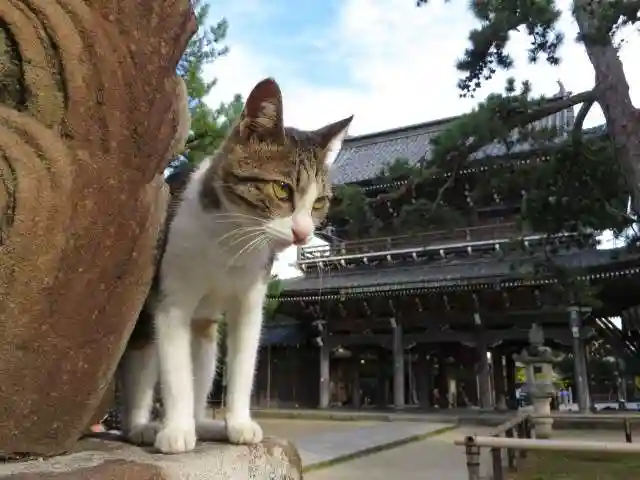智恩寺(京都府)