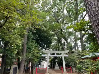 赤堤六所神社の鳥居