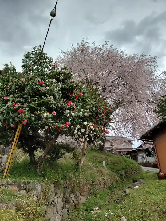 日吉神社(京都府)