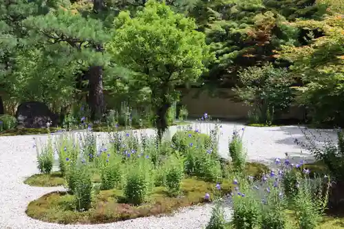 廬山寺（廬山天台講寺）の庭園