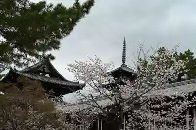 法隆寺(奈良県)