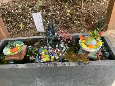 下野 星宮神社(栃木県)