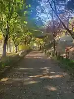 金藏院(聖法寺)のその他建物