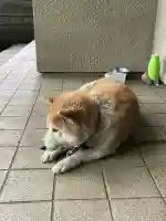 笠䅣稲荷神社(神奈川県)