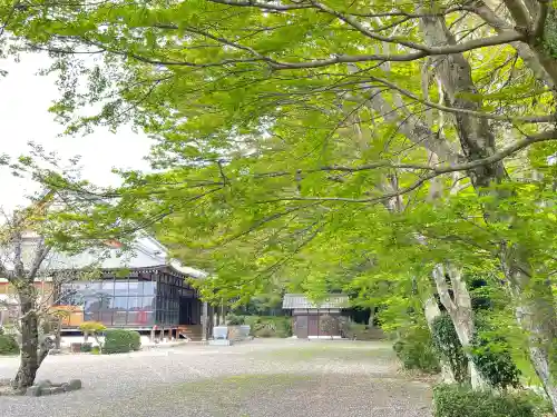 興敬寺の{uncategorized: "未分類", other: "その他", undefined: "問題あり", building: "その他建物", grave: "お墓", sacred_gate: "鳥居", guardian: "狛犬", statue: "像", buddha: "仏像", history: "歴史", nature: "自然", garden: "庭園", animal: "動物", pagoda: "塔", temizu: "手水舎", mountain_gate: "山門・神門", sanctuary: "本殿・本堂", subordinate: "末社・摂社", art: "芸術", scenery: "景色", jizo: "地蔵", ema: "絵馬", goshuin: "御朱印", omikuji: "おみくじ", items: "授与品その他", amulet: "お守り", goshuincho: "御朱印帳", eats: "食事", festival: "お祭り", votive_dance: "神楽", shichigosan: "七五三参", wedding: "結婚式", experience: "体験その他", initially: "初詣", around: "周辺", anti_infection: "感染症対策"}