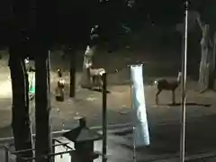 石山神社の動物