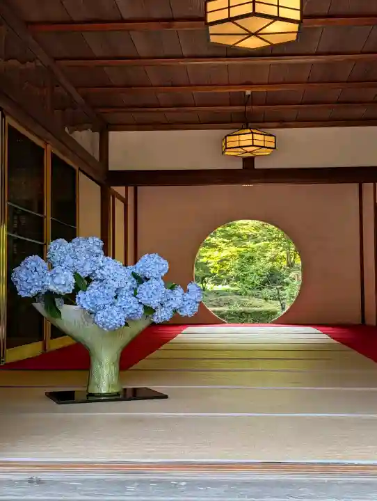 明月院(神奈川県)