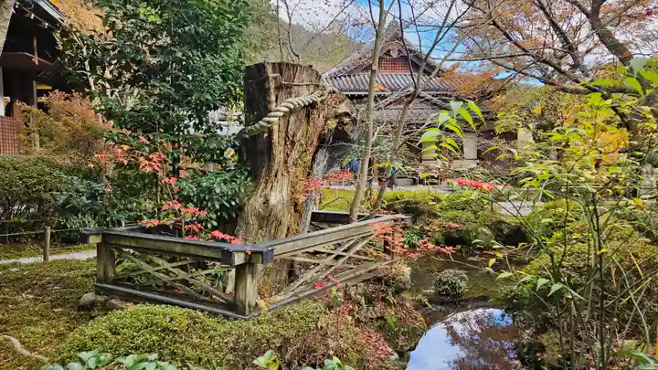 寂光院(京都府)