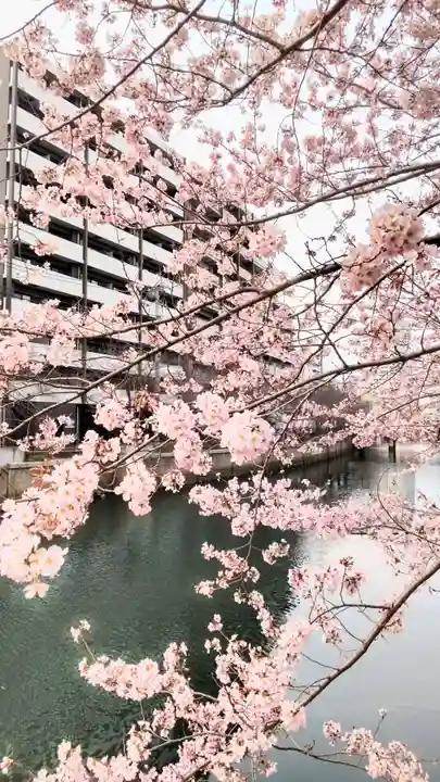 伊勢山皇大神宮の御朱印