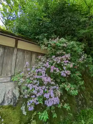 光明寺瑠璃光院(京都府)