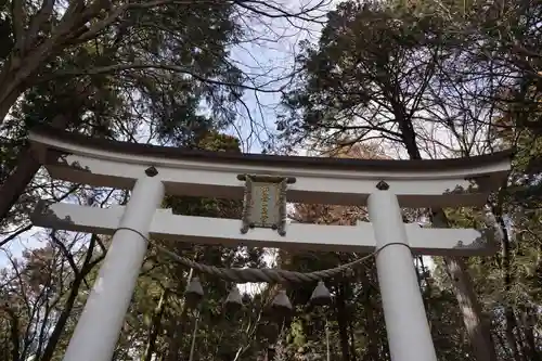 宝登山神社奥宮(埼玉県)