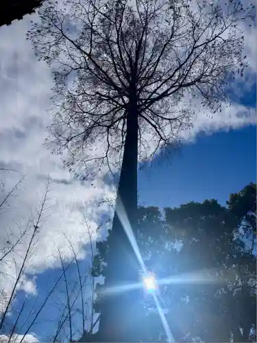 蛭子島神社(京都府)