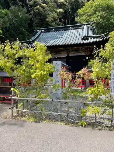 静岡浅間神社の本殿