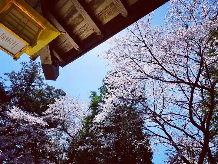 滑川神社 - 仕事と子どもの守り神の自然