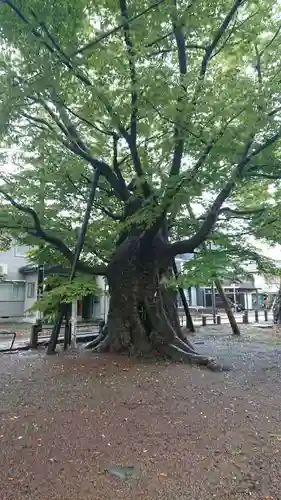 金峯神社の建物その他