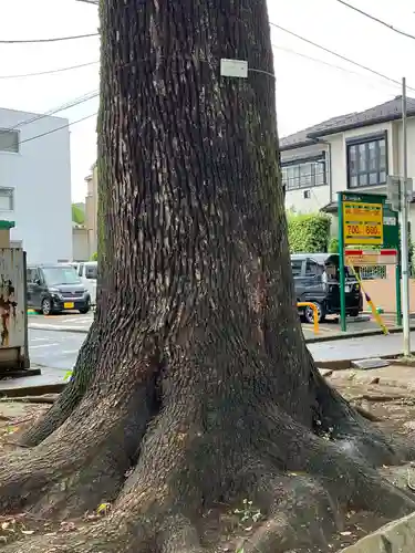 武蔵一宮氷川神社(埼玉県)