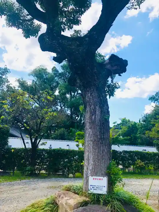 愛染堂勝鬘院の自然