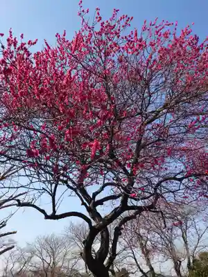 宗仲寺(神奈川県)